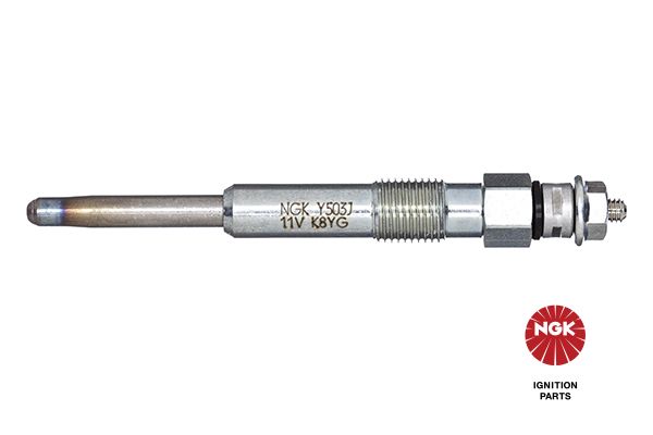 NGK Candeletta 1009