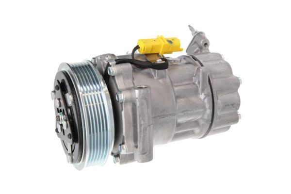 VALEO Compressore, Climatizzatore 813206
