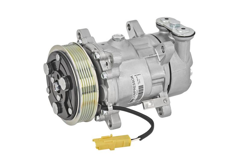 VALEO Compressore, Climatizzatore 813317