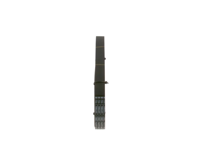 BOSCH Cinghia Poly-V 1 987 946 080