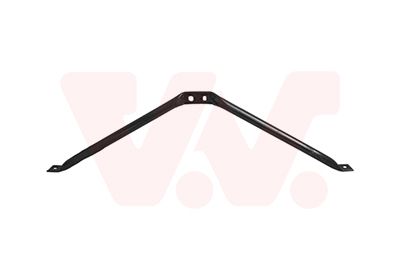 VAN WEZEL Pannellatura anteriore 0550666