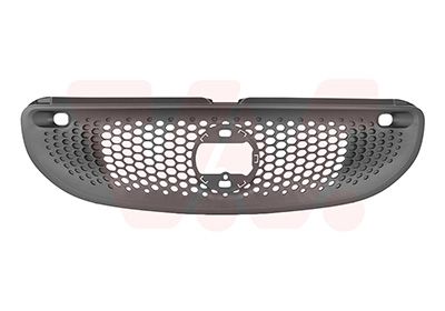 VAN WEZEL Griglia radiatore 2916510