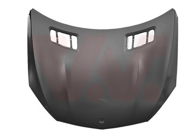 VAN WEZEL Cofano motore 2940660