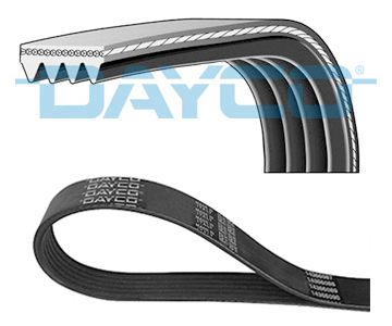 DAYCO Cinghia Poly-V 4PK1102EE