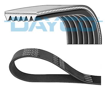 DAYCO Cinghia Poly-V 6PK1165