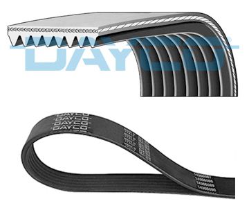 DAYCO Cinghia Poly-V 8PK2092