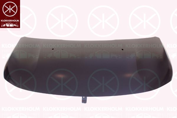 KLOKKERHOLM Cofano motore 5543281