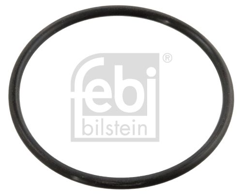 FEBI BILSTEIN Guarnizione, Termostato 10258