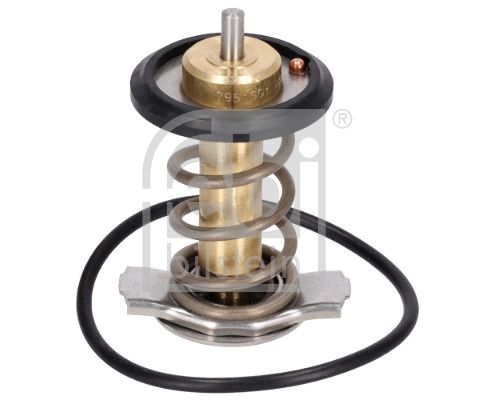 FEBI BILSTEIN Termostato, refrigerante 185598