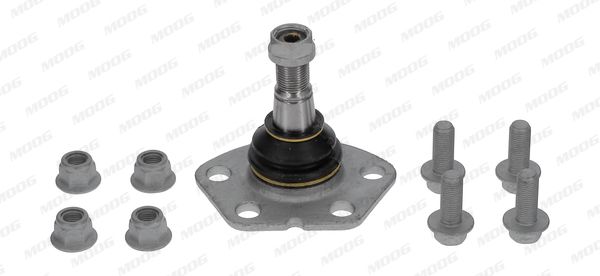 MOOG Giunto di supporto / guida FI-BJ-0513