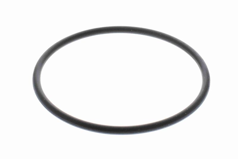 VAICO Filtro olio V24-0282