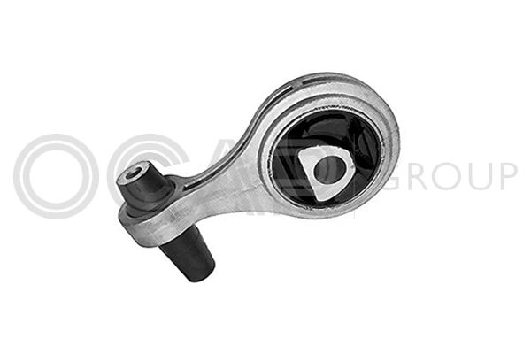 OCAP Sospensione, Motore 1226021