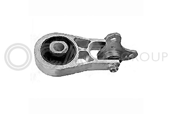 OCAP Sospensione, Motore 1226031