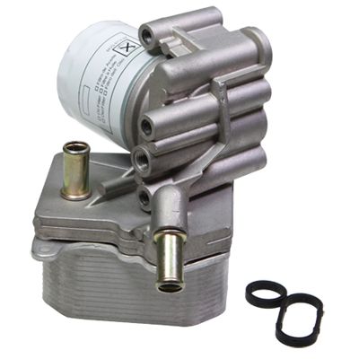 BIRTH Radiatore olio, Olio motore 80263