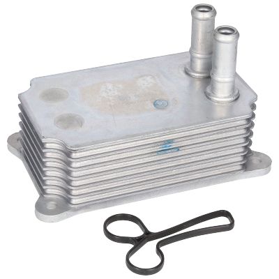 BIRTH Radiatore olio, Olio motore 80300