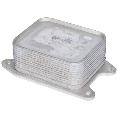 BIRTH Radiatore olio, Olio motore 80356