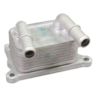 BIRTH Radiatore olio, Olio motore 80567