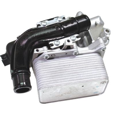 BIRTH Radiatore olio, Olio motore 80739