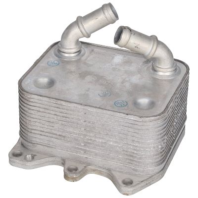 BIRTH Radiatore olio, Olio motore 80755