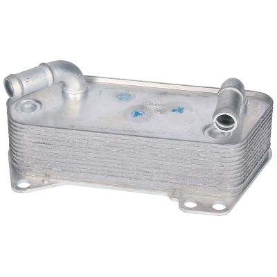 BIRTH Radiatore olio, Olio motore 80774