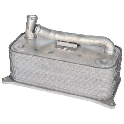 BIRTH Radiatore olio, Olio motore 80783