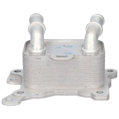 BIRTH Radiatore olio, Olio motore 80814
