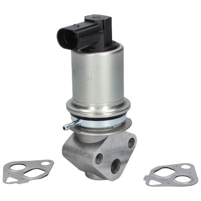 BIRTH Valvola ricircolo gas scarico-EGR 90011