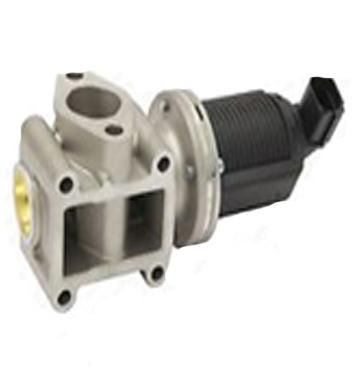 ASSO Valvola EGR 70.0109