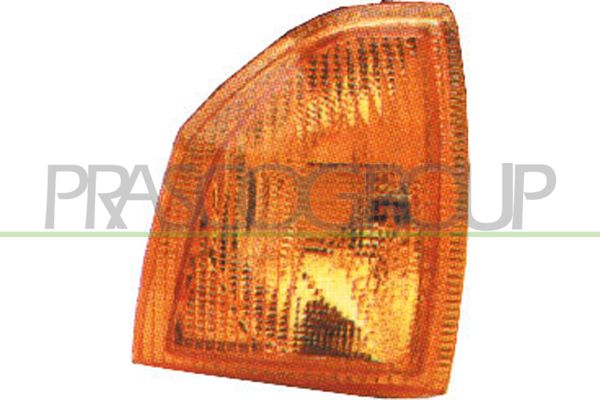 PRASCO Indicatore direzione AA0494003