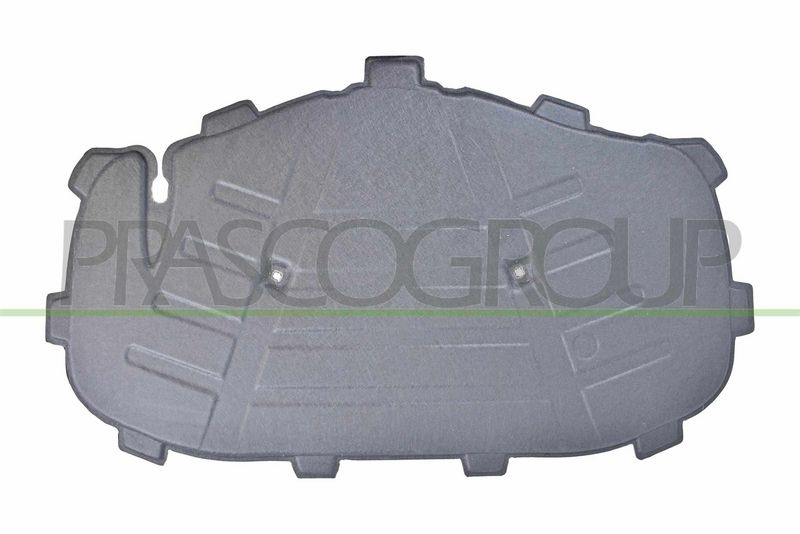 PANNELLO INSONORIZZATORE COFANO-2 CLIPS AUDI A3 4 PORTE CABRIO (8VE/8VM) Mod 02/16 04/20