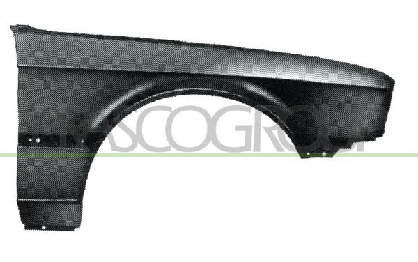 PRASCO Parafango BM0103003