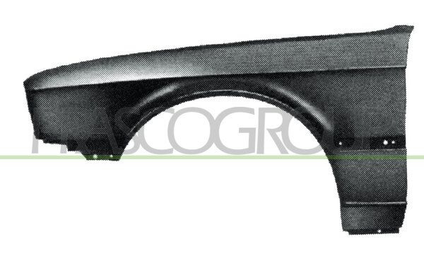 PRASCO Parafango BM0103004