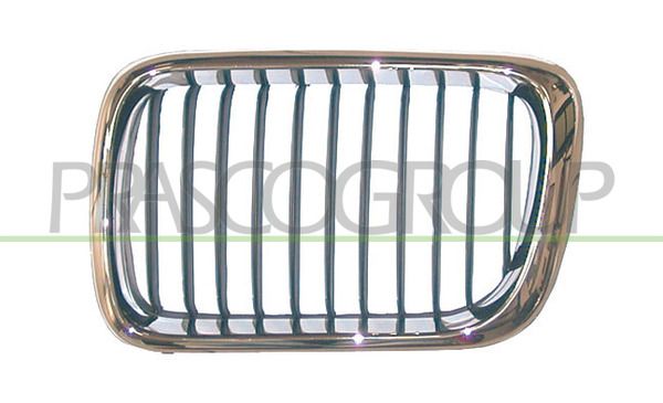 GRIGLIA RADIATORE DX MOD 09/96 > BMW 3 SERIES E36 Mod 12/90 04/98
