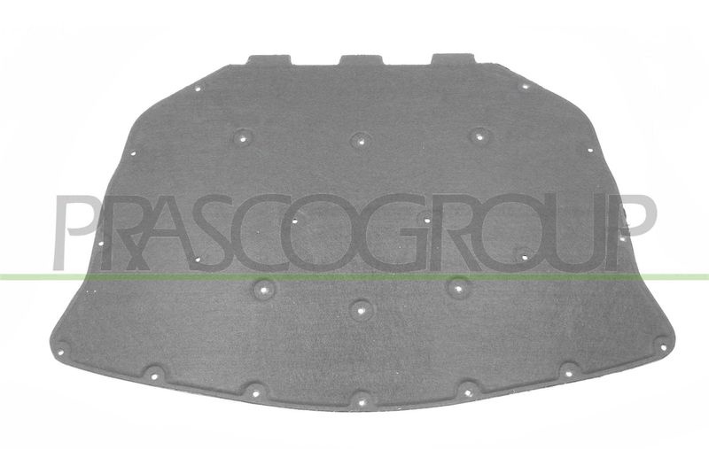 PANNELLO INSONORIZZATORE COFANO BMW 5 SERIES F10/F11 Mod 04/10 06/13