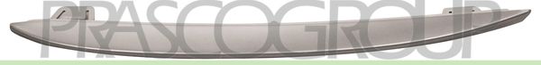 MODANATURA SX GRIGLIA RADIATORE-VERNICIATA-ARGENTO BMW 5 SERIES F10/F11 Mod 04/10 06/13