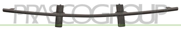 GRIGLIA PARAURTI ANT-CENTRALE BMW 7 SERIES E65 Mod 01/03 12/05