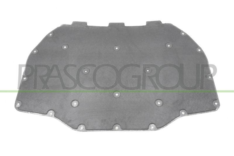 PANNELLO INSONORIZZATORE COFANO BMW 5 SERIES F07 GT Mod 01/09 12/12