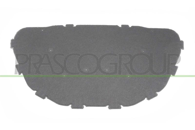 PANNELLO INSONORIZZATORE COFANO-8 CLIPS BMW X1 E84 Mod 07/09 05/12