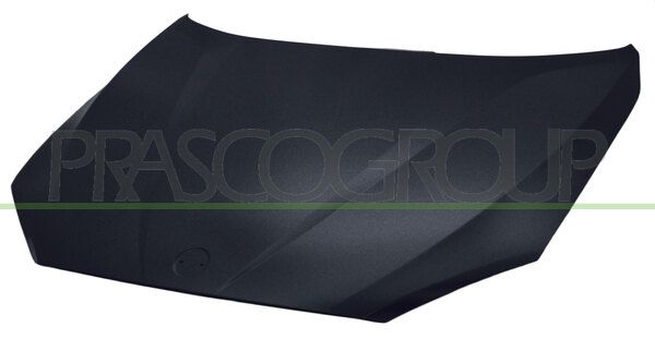 COFANO BMW X1 E84 Mod 06/12 06/15