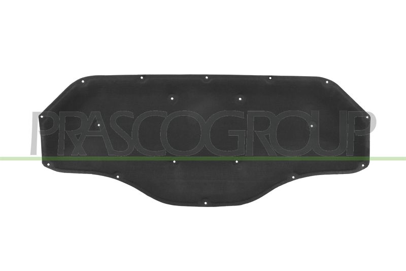 PANNELLO INSONORIZZATORE COFANO BMW X2 F39 Mod 03/18 02/24
