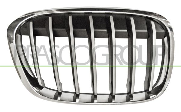 GRIGLIA RADIATORE DX-CROMATA-TITANIO/NERA MOD X-LINE BMW X1 F48 Mod 08/15 09/19