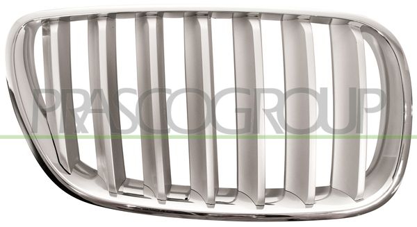 GRIGLIA RADIATORE DX-CROMATA-TITANIO BMW X3 E83 Mod 03/07 08/10