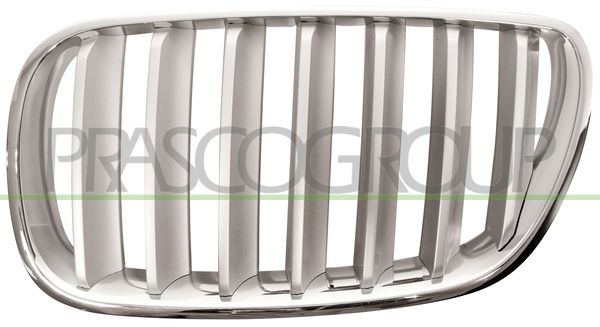 GRIGLIA RADIATORE SX-CROMATA-TITANIO BMW X3 E83 Mod 03/07 08/10