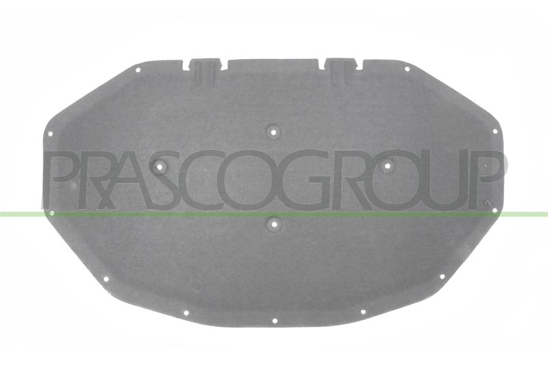 PANNELLO INSONORIZZATORE COFANO-15 CLIPS BMW X3 F25 Mod 09/10 03/14