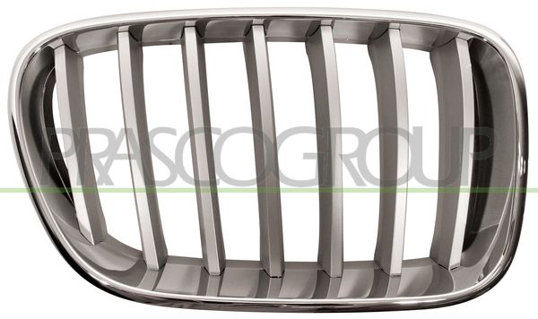 GRIGLIA RADIATORE DX-CROMATA-TITANIO BMW X3 F25 Mod 09/10 03/14