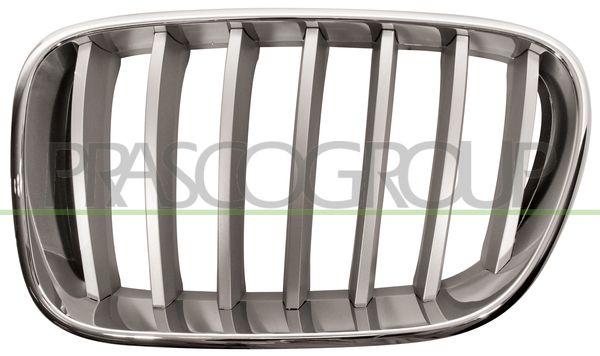 GRIGLIA RADIATORE SX-CROMATA-TITANIO BMW X3 F25 Mod 09/10 03/14