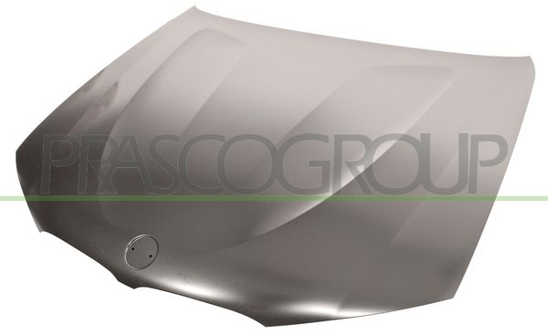 COFANO BMW X4 F26 Mod 05/13 04/18
