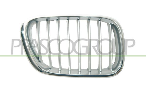 GRIGLIA RADIATORE DX-CROMATA-GRIGIA MOD > 10/03 BMW X5 E53 Mod 05/00 12/06
