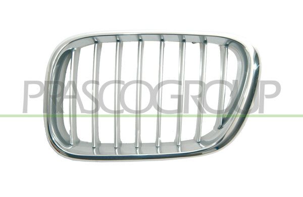 GRIGLIA RADIATORE SX-CROMATA-GRIGIA MOD > 10/03 BMW X5 E53 Mod 05/00 12/06