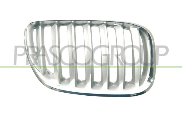 GRIGLIA RADIATORE DX IN TITANIO MOD 04 > BMW X5 E53 Mod 05/00 12/06